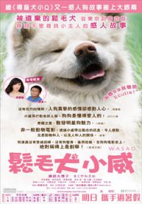 秋田犬蓬夫